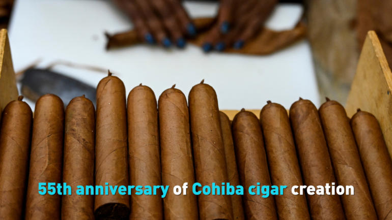 55th anniversary of Cohiba cigar creation