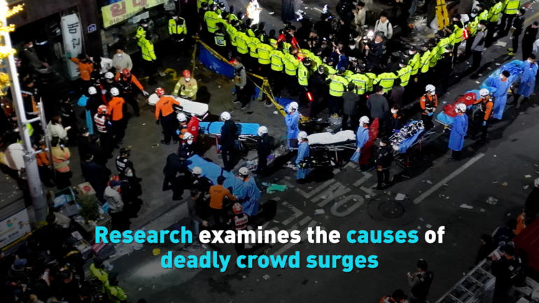 Research examines the causes of deadly crowd surges