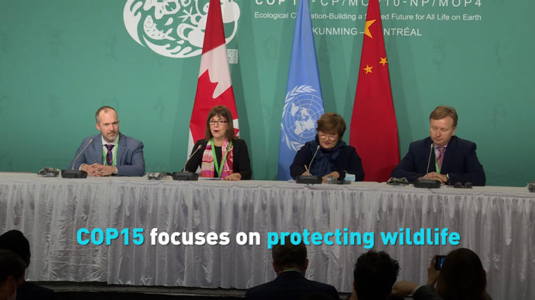 COP15 focuses on protecting wildlife