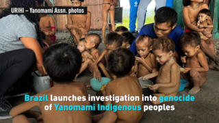 Brazil launches investigation into genocide of Yanomami Indigenous peoples