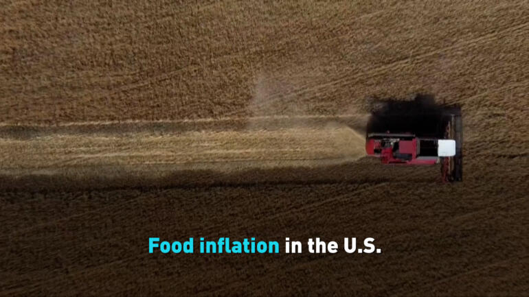 Food inflation in the U.S.
