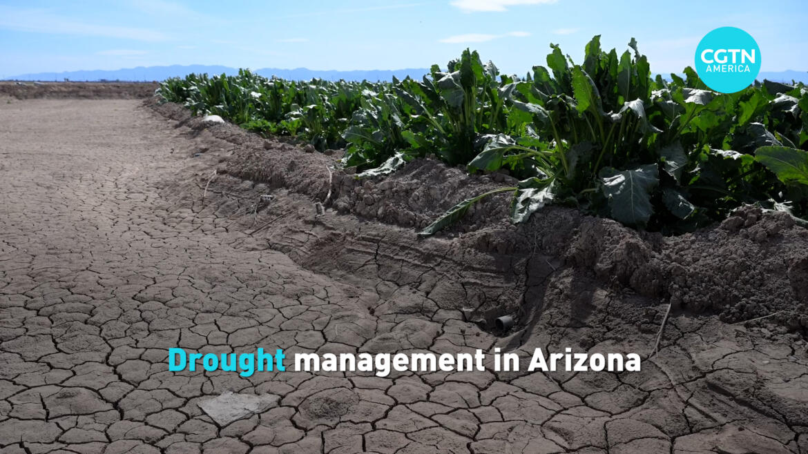 Drought management in Arizona CGTN America