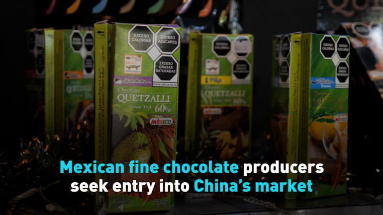 Mexican fine chocolate producers seek entry into China’s market