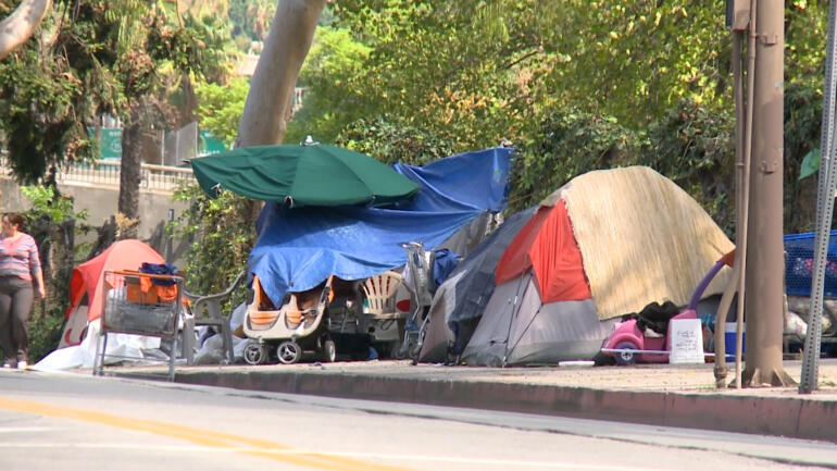 Homeless crisis in Los Angeles