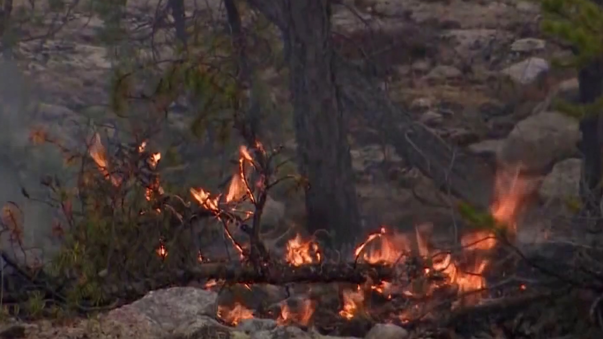 30k Evacuated Amid Unprecedented Wildfire In Canada Cgtn America