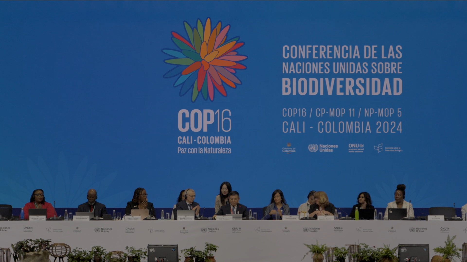 UN COP16 Biodiversity Conference opens in Colombia