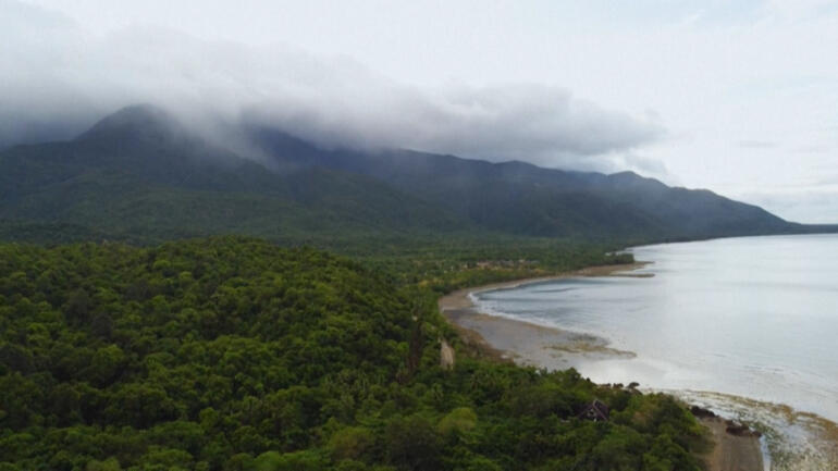 Report shows Colombia is the deadliest country for environmentalists