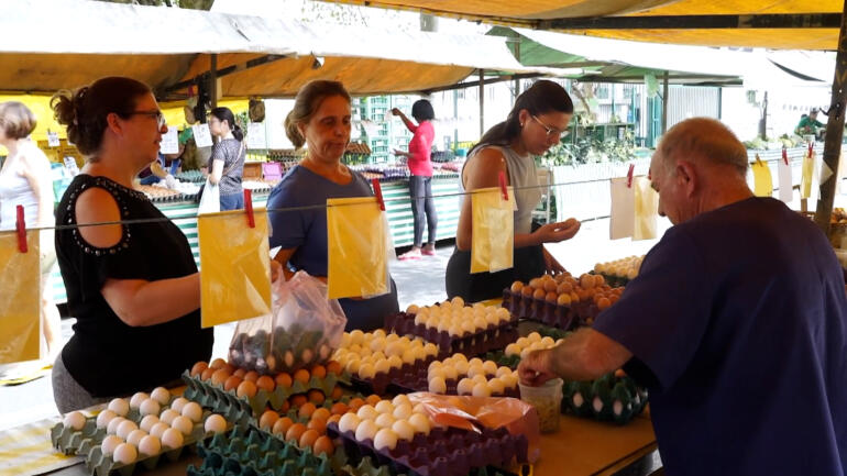 Brazil’s egg prices soar as exports surge amid U.S. shortage