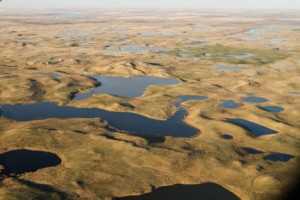 The rule was designed to expand the federal government’s ability to regulate pollution in 60 percent of U.S. bodies of water, including the wetlands, smaller streams and rivers that flow into larger bodies of water like the Chesapeake Bay. Clean Water Rule