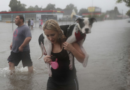 HOUSTON, TX - AUGUST 27: Naomi Coto carries Simba on her shoulders as they evacuate their home after the area was inundated with flooding from Hurricane Harvey on August 27, 2017 in Houston, Texas. Harvey, which made landfall north of Corpus Christi late Friday evening, is expected to dump upwards to 40 inches of rain in Texas over the next couple of days. Joe Raedle/Getty Images/AFP