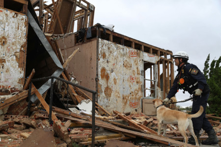 ROCKPORT, TX - AUGUST 27: Robert Grant and Rocky from the Texas Task Force 2 search and rescue team work through a destroyed apartment complex trying to find anyone that still may be in the apartment complex after Hurricane Harvey passed through on August 27, 2017 in Rockport, Texas. Harvey made landfall shortly after 11 p.m. Friday, just north of Port Aransas as a Category 4 storm and is being reported as the strongest hurricane to hit the United States since Wilma in 2005. Forecasts call for as much as 30 inches of rain to fall in the next few days. Joe Raedle/Getty Images/AFP
