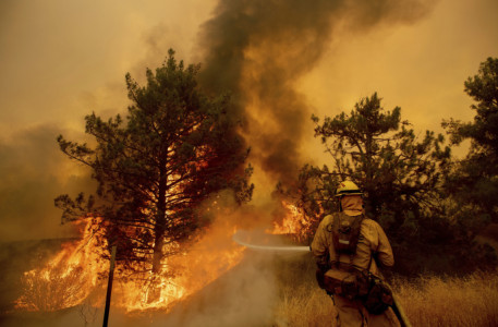 A firefighter scrambles to stop the Pawnee fire as it spots across Highway 20 near Clearlake Oaks, Calif., on Sunday, July 1, 2018. (AP Photo/Noah Berger) Firefighter scrambles to stop the fire