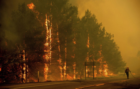 A firefighter scrambles to stop a wildfire as wind drives embers across Highway 20 near Clearlake Oaks, Calif., on Sunday, July 1, 2018. (AP Photo/Noah Berger) Wildfire beside a highway