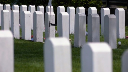 White tombstones on a strip of grass